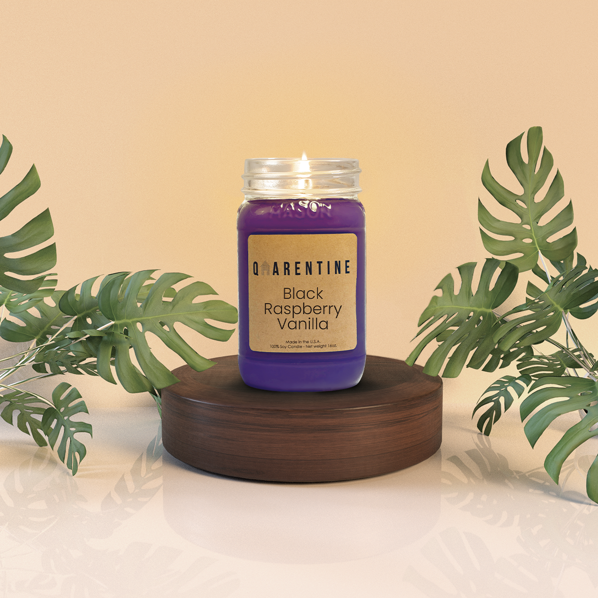 Black Raspberry Vanilla | Pure Soy Wax Candle | Made in USA