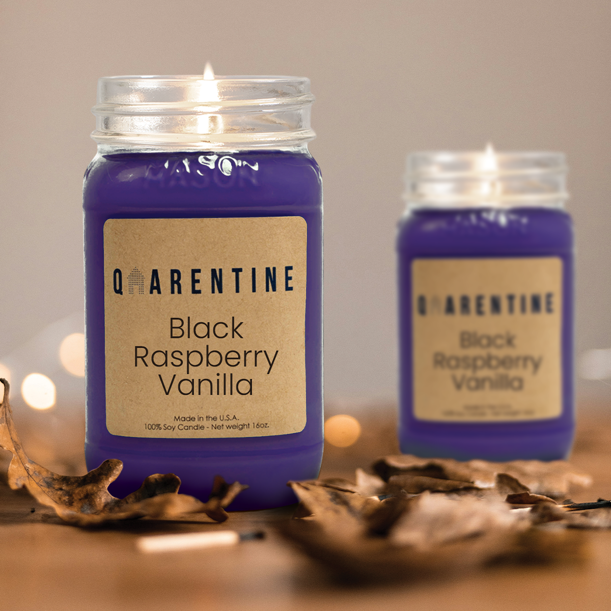 Black Raspberry Vanilla | Pure Soy Wax Candle | Made in USA